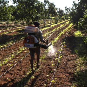 Frrous sulphate manufacturer vrik pharma india